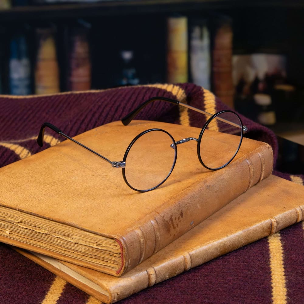 harry potter replica