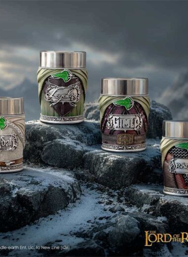 Lord of the Rings Fellowship set